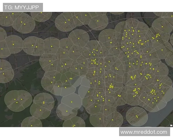 杭州排球队配合表现的数据分析与战术研究探讨