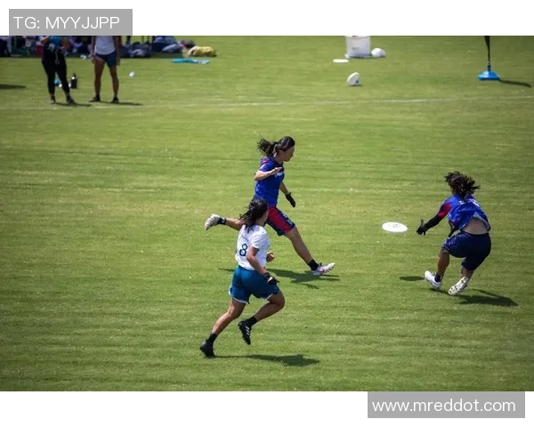 深圳飞盘队荣登全国飞盘技术排行榜第六名展现出色实力与团队精神