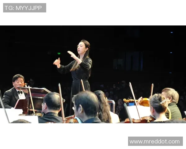 滑板与人生的交响曲：陈磊的深度对话与成长之路