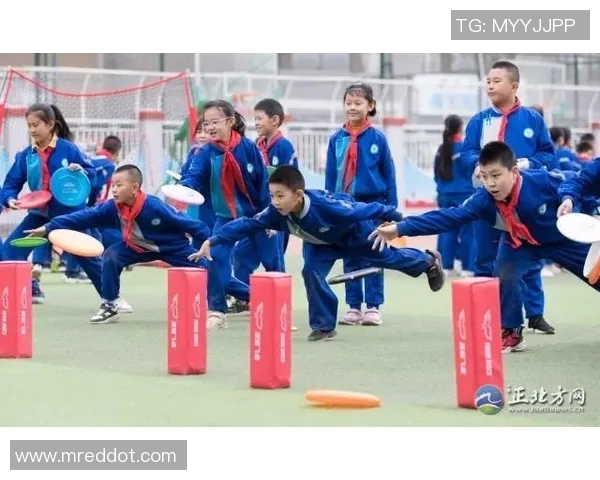 王芳独家分享飞盘技巧与心得体会助你轻松掌握这项运动的魅力与乐趣