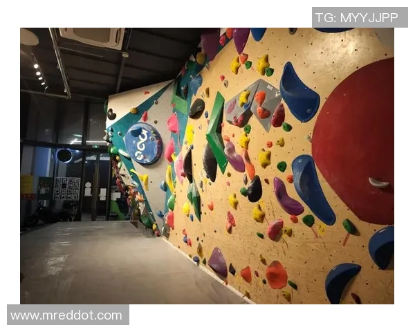 赛后分析：上海攀岩队与杭州攀岩队个人能力对比探讨