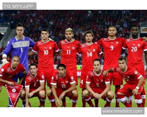 北爱尔兰与瑞士足球对决前瞻及胜负预测分析