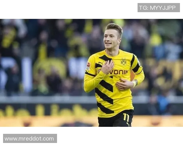 多特蒙德与奥格斯视频精彩回顾及比赛分析全记录