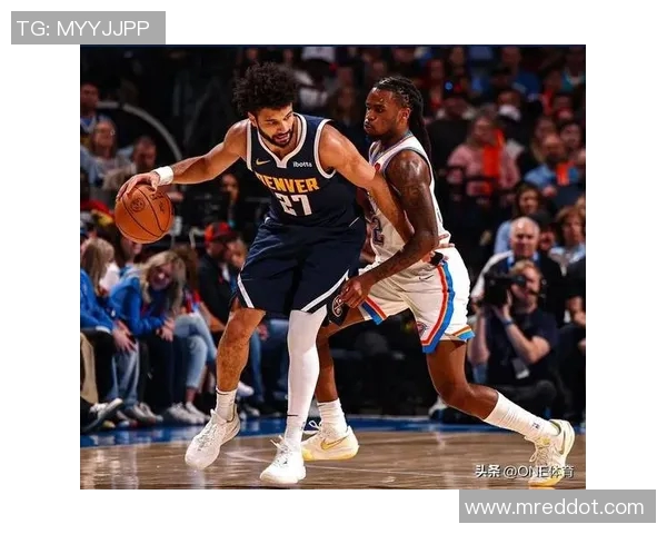 森林狼与老鹰对决分析双方战术特点及球员表现展望