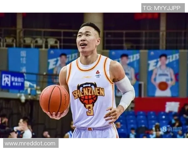 贺希宁:从篮球新星到职业生涯巅峰的奋斗历程与心路历程 贺希宁:从篮球新星到职业生涯巅峰的奋斗历程与心路历程