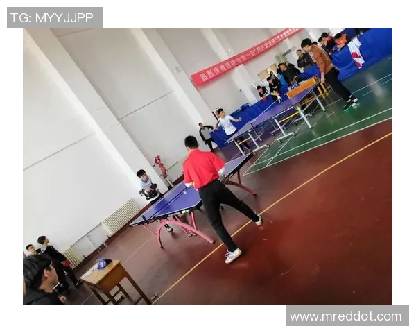 陈敏独家分享乒乓球技巧与心得助你提升球技的秘密武器