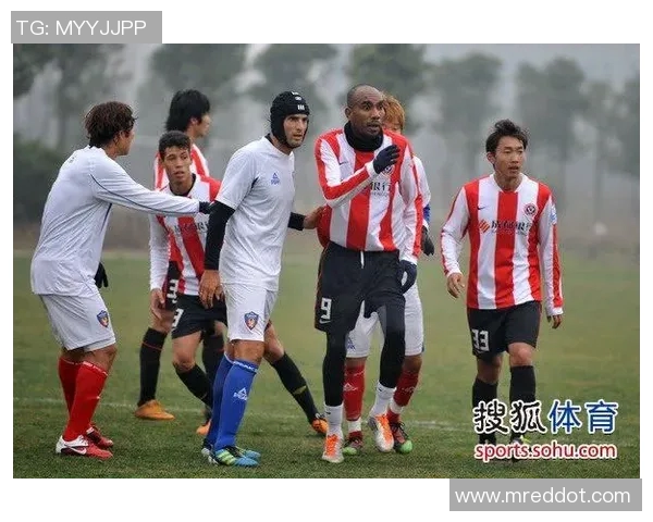 2017年帕梅拉斯与累体育激战回顾精彩瞬间与赛后分析